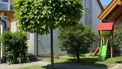 Magyar Apartman III. Hajdúszoboszló 