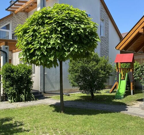 Magyar Apartman III. Hajdúszoboszló 