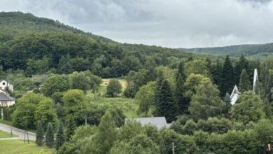 Májushegy Vendégház Hollóháza 