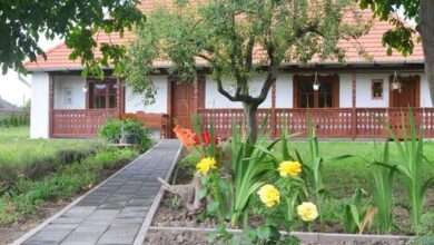 Mákvirág Vendégház Tiszabábolna 