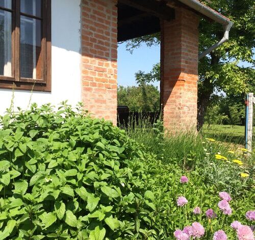 Málnazöld Vendégház Szatta 