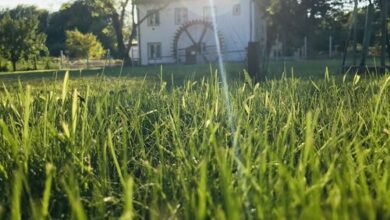 Malom Vendégház Gyenesdiás 