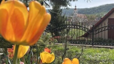 Malomvölgy Vendégház Tardos 