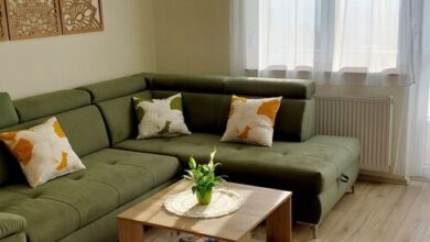 Mandala Apartman Pécs 