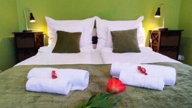 Mandala Apartman Szeged 