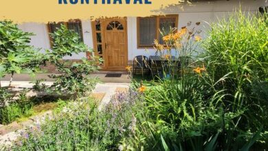 Mandula Apartman Szeged 