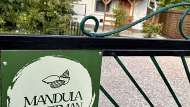 Mandula Apartman Velence 