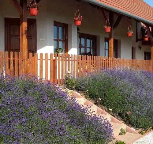 Mandulavirág Vendégház Felsőörs 