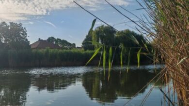 Manna Apartmanház Gyomaendrőd 