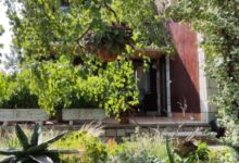 Mara Apartman Vonyarcvashegy 