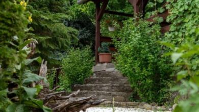 Márai Vendégház Kács 