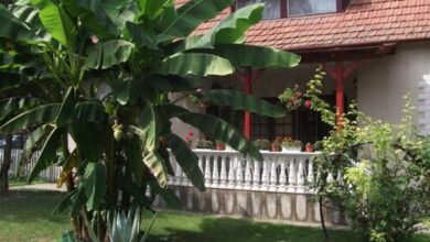 Margit Apartman Siklós 