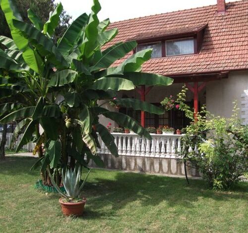 Margit Apartman Siklós 