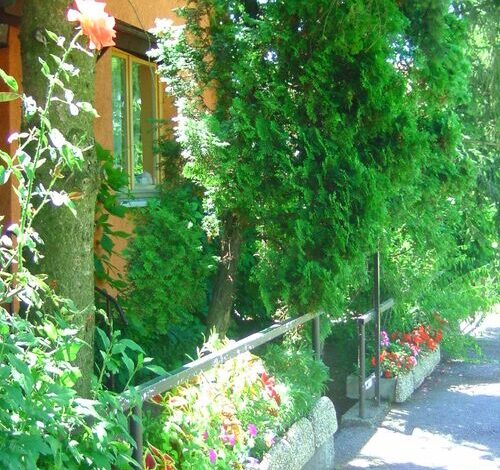 Margó Panzió Vértessomló 