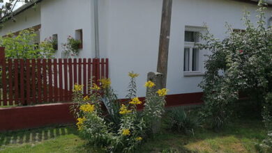 Margó Vendégház Tiszaug 