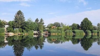 Márk Apartman Békésszentandrás 