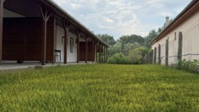 Márta Vendégház Sárospatak 