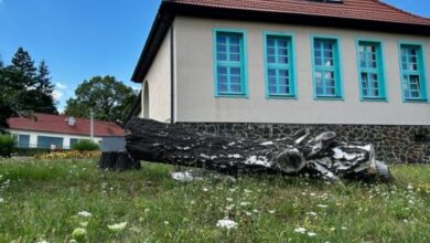 Mátra Relax Villa Parádsasvár 