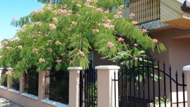 Mátyás Vendégház Füzesgyarmat 