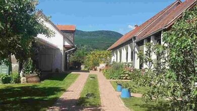 Mayday Cottage Pócsmegyer 