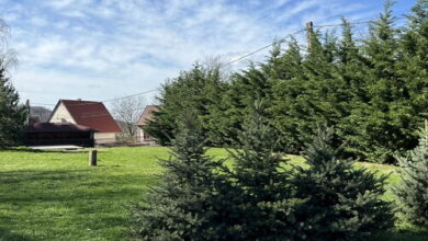 MeLau Termál Üdülő 