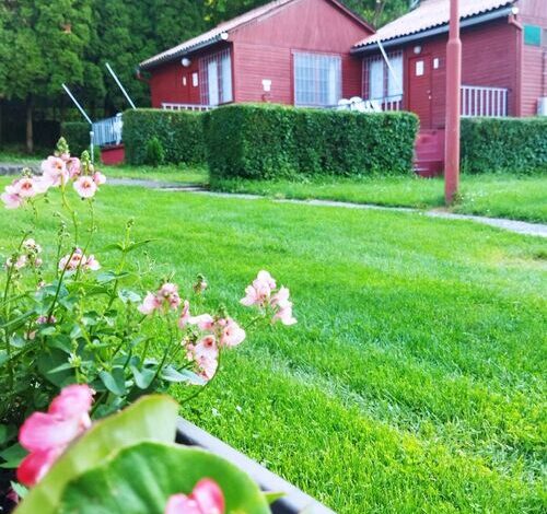 Mecsek Virágai Lak Apartman Magyarhertelend 