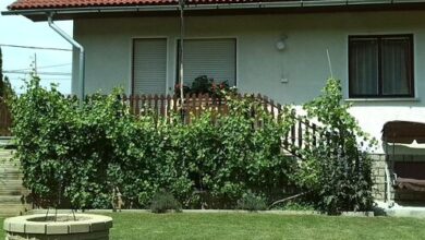 Mecsekgyöngye Tóth Vendégház Magyarhertelend 