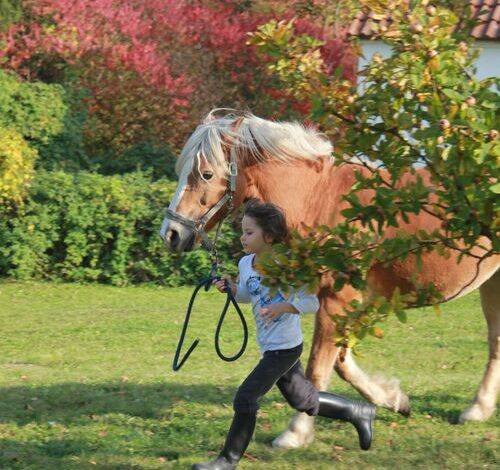 Mecseki Csendidő Vendégházak Bükkösd 