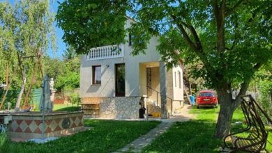 Medencés Deluxe Üdülőház Pilisszentiván 