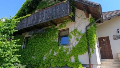 Medvefül Vendégház Hárskút 