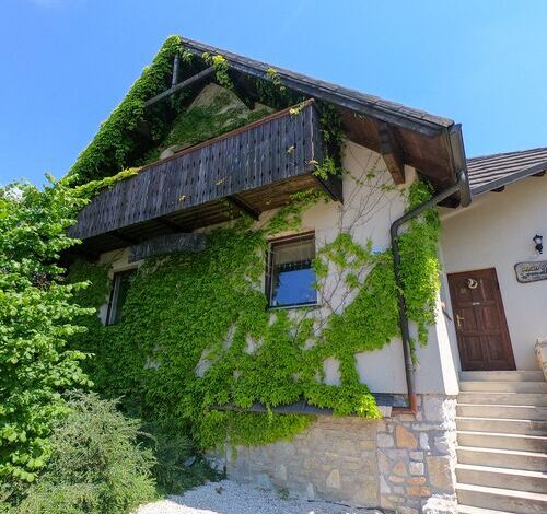 Medvefül Vendégház Hárskút 