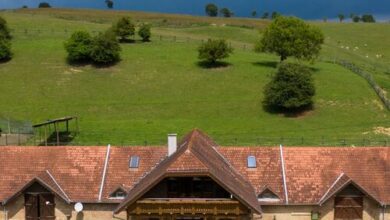 Ménes Vendégház Ökopark Bükkösd 