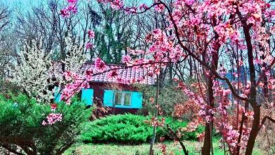 Meredély Kunyhószállás Leányfalu 