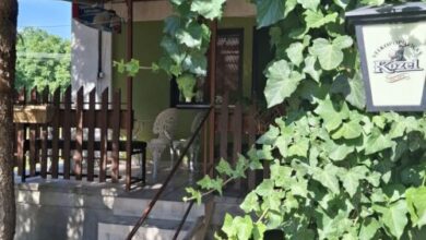 Meszesi Bettina Vendégház Foktő 