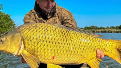 Mézeskalács Vendégház Csongrád 