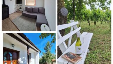 Mi kis lakunk Vendégház Várdomb 