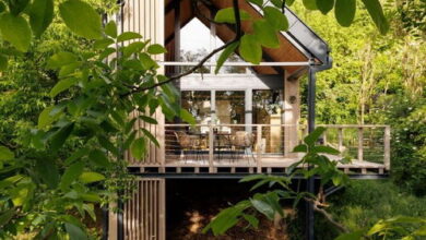 Mimosa Lombház Nemeshetés 