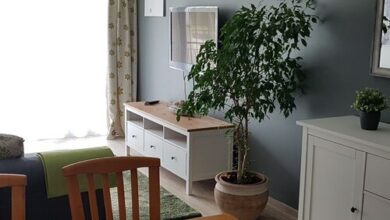 Mina Apartman Siófok 