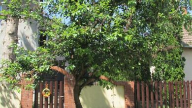 Mn Apartman Magyarnándor 