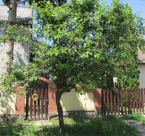 Mn Apartman Magyarnándor 