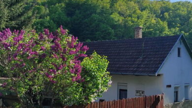 Mókusles Vendégház Háromhuta 