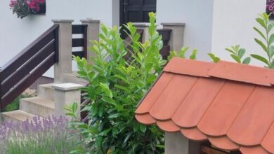 Mónika Vendégház Kőszeg 