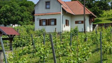 Mórocz Ház Nemesgulács 