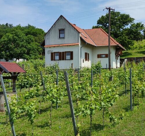 Mórocz Ház Nemesgulács 