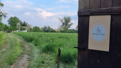 Múltidéző Tanya Csongrád 