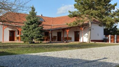 Nagy Kócsag PihenőPorta Sarud 