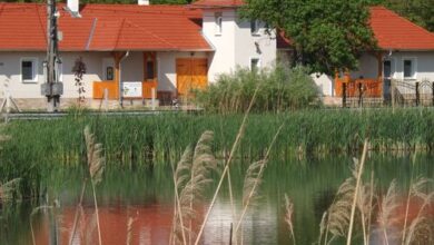 Nagybajcsi Körtefa Vendégház-Apartmanok 