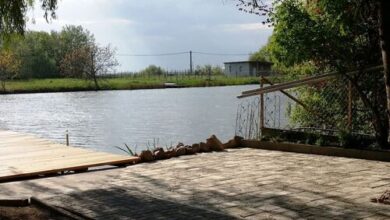 Nagyfoki Alfi Nyaraló Szarvas 