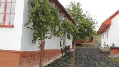 Nagyhaláp Vendégház Cserháthaláp 