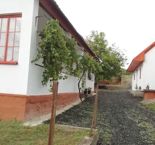 Nagyhaláp Vendégház Cserháthaláp 